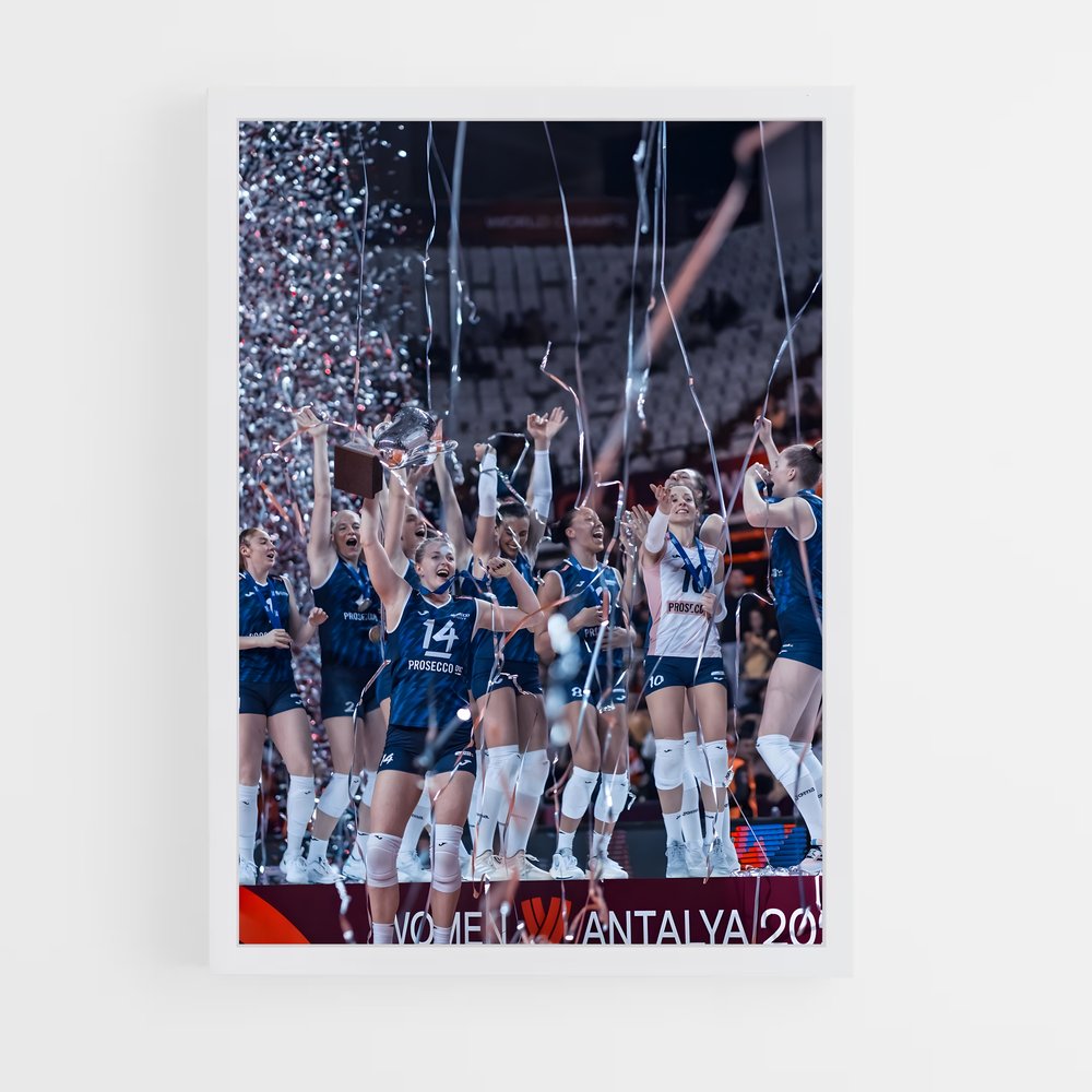 Poster Volleyball world précieux (vue 3)